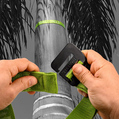 Palm Tree Safety Strap for Palm Fronds 5 ft - 1 Pack