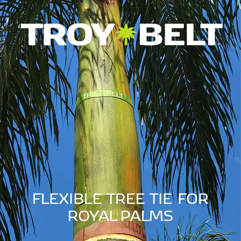 Palm Tree Safety Strap for Palm Fronds 5 ft - 10 Pack