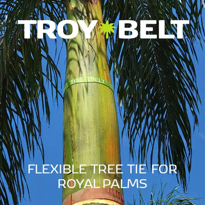 Palm Tree Safety Strap for Palm Fronds 5 ft - 1 Pack